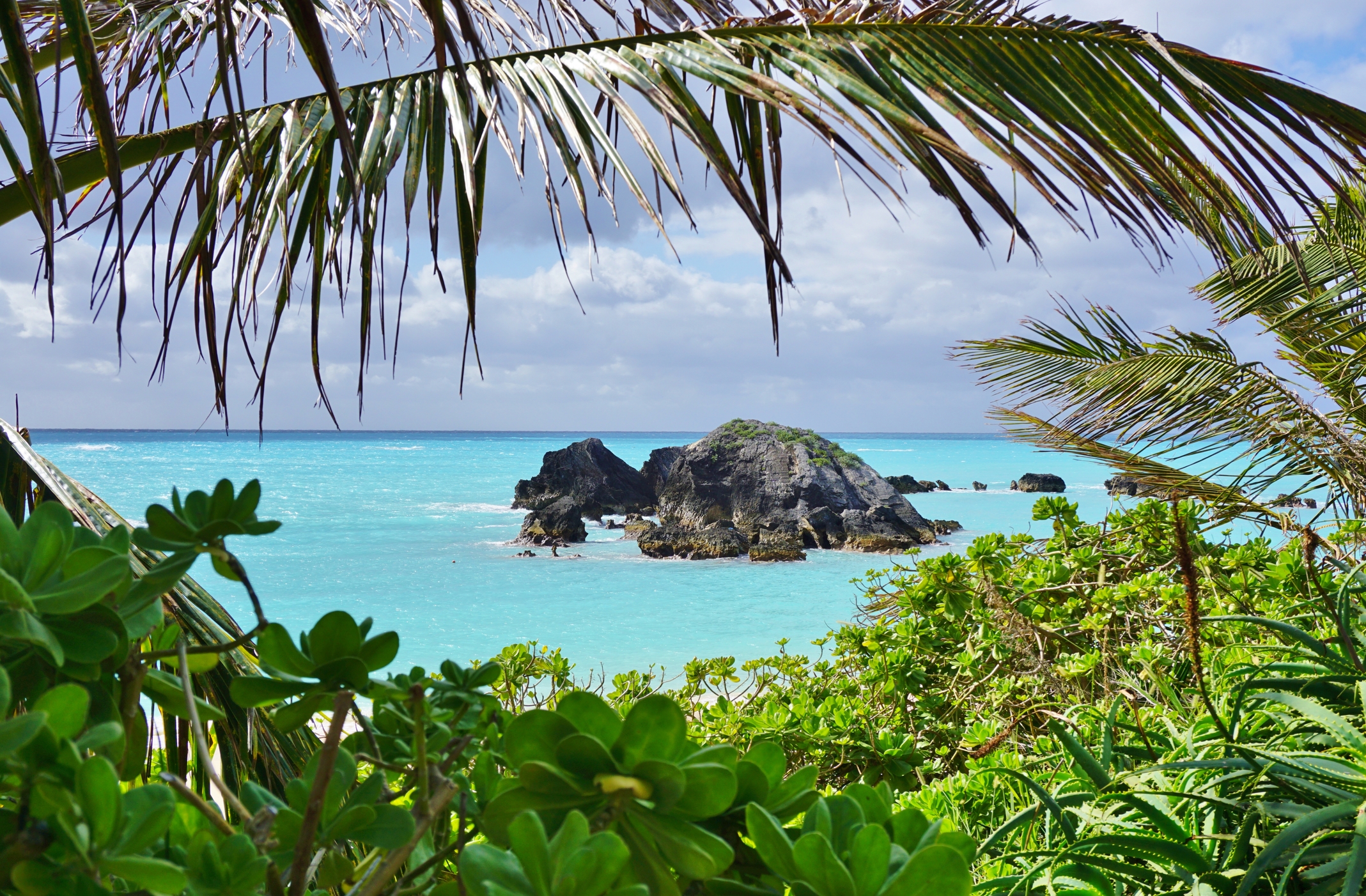 Bermuda Digital Assets Regulation - Charltons Quantum | Blockchain, Crypto  & Fintech Insights