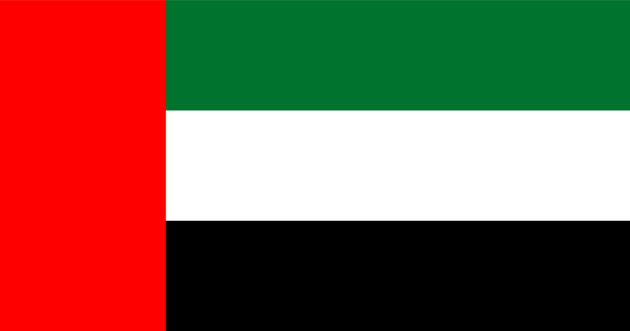 UAE Flag